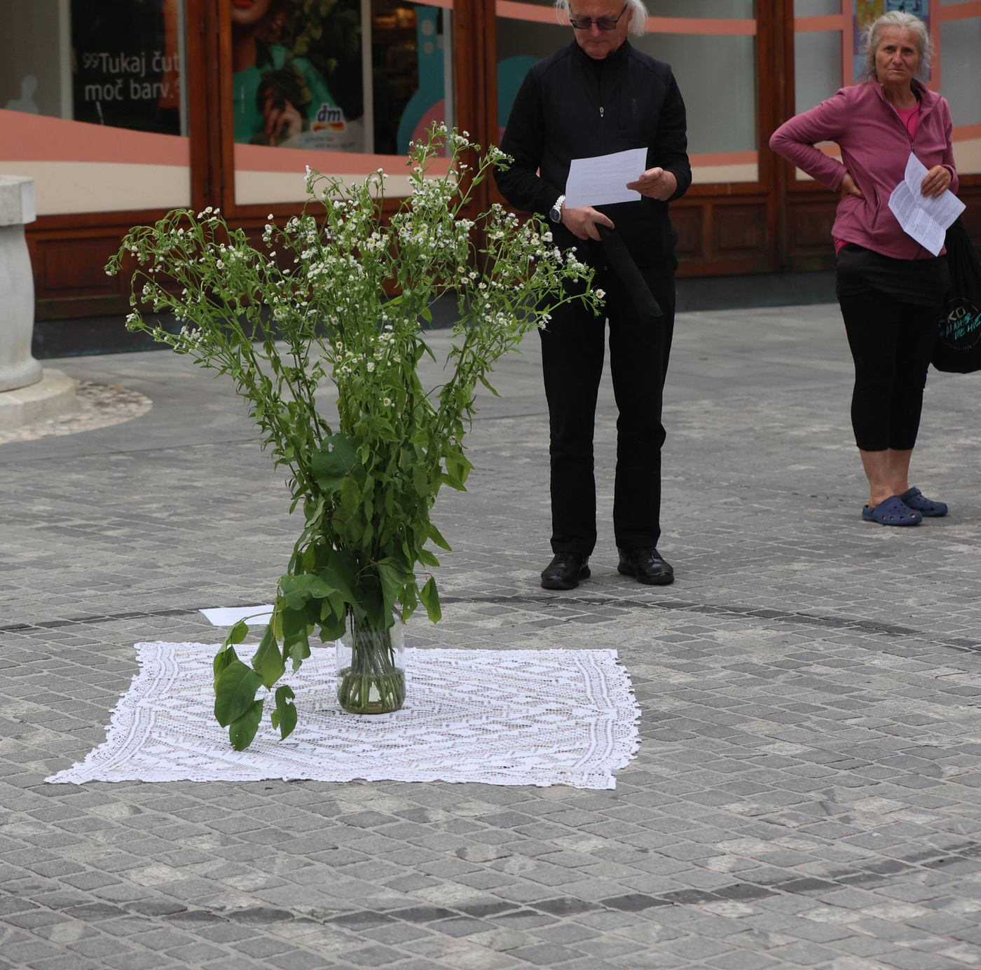 a large vase with Japanese knotweed and Erigeron annuus 2024